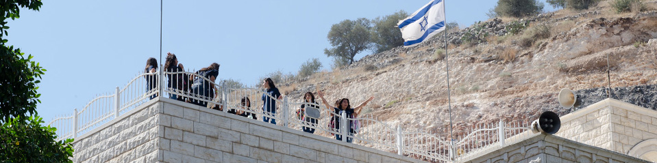Друзы в Израиле
