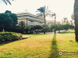 Тель-Авивский университет, Израиль. Фото - Ирина Юдкевич.