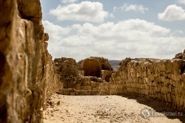 Авдат - древний город Набатеев, в самом сердце израильской пустыни Негев.