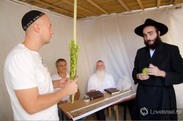 Букет из 4-х видов растений (арбаат а-миним) - символизируют единство еврейского народа.