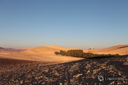 Израиль - это пустыни