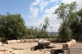 Неот Кедумим, заповедник в Израиле
