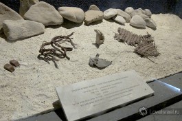 В небольшом музее представлены найденные предметы быта общины.