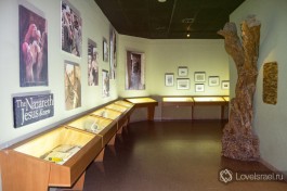 При входе в музей можно посмотреть различные экспозиции.