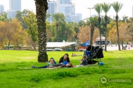 Парк Яркон в Тель-Авиве. Фото - Алена Яроцевич.